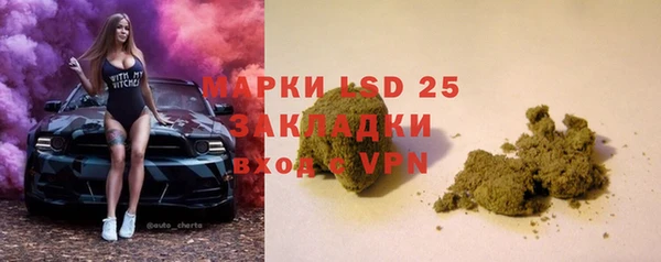 ГАЛЛЮЦИНОГЕННЫЕ ГРИБЫ Баксан