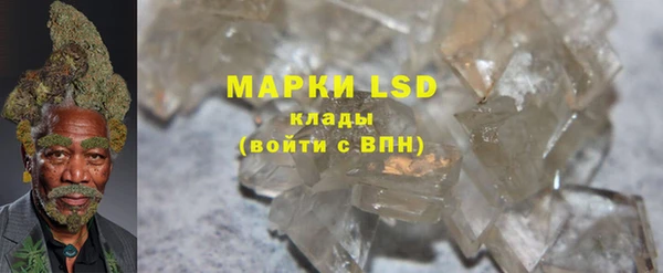шишки Беломорск