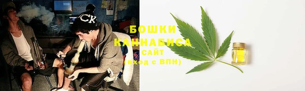 шишки Семилуки