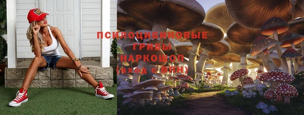 дмт Семёнов