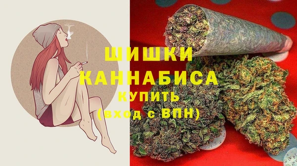 ГАЛЛЮЦИНОГЕННЫЕ ГРИБЫ Баксан