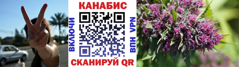 Канабис план  Шарья 